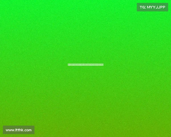 德甲中卫位置的战术作用与发展趋势分析及未来潜力展望