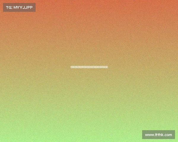 阿莫林在球场上的心酸历程：从高光到低谷的奋斗与坚持